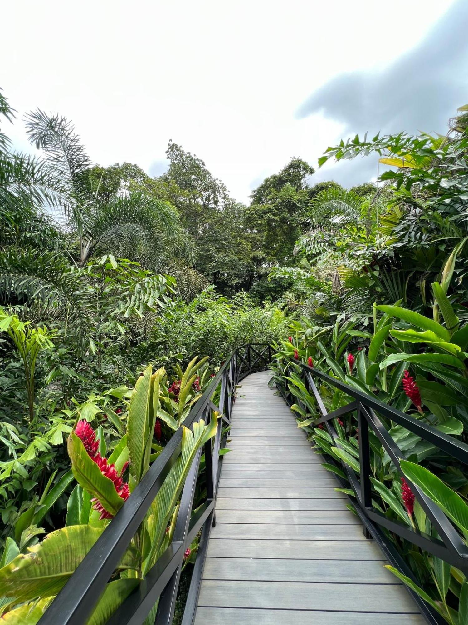 Hotel Boutique Casa Del Rio La Fortuna Buitenkant foto